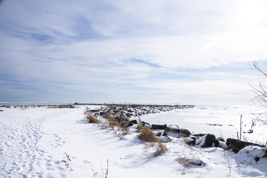 North Bayshore Park 01