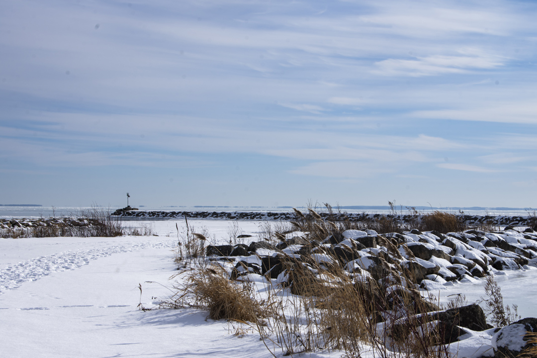 North Bayshore Park 02