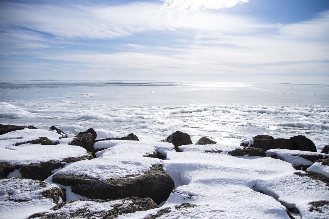 North Bayshore Park 06