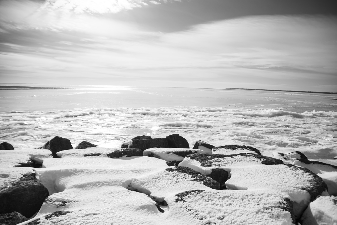 North Bayshore Park 07