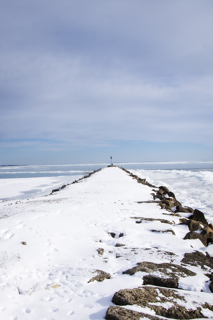 North Bayshore Park 09