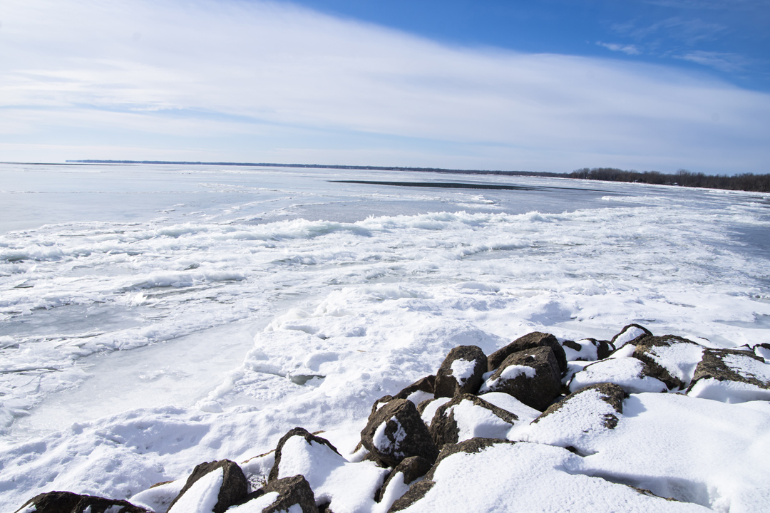 North Bayshore Park 10