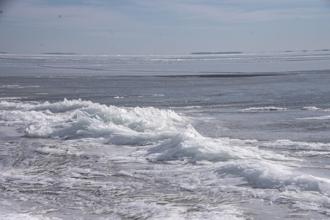 North Bayshore Park 12