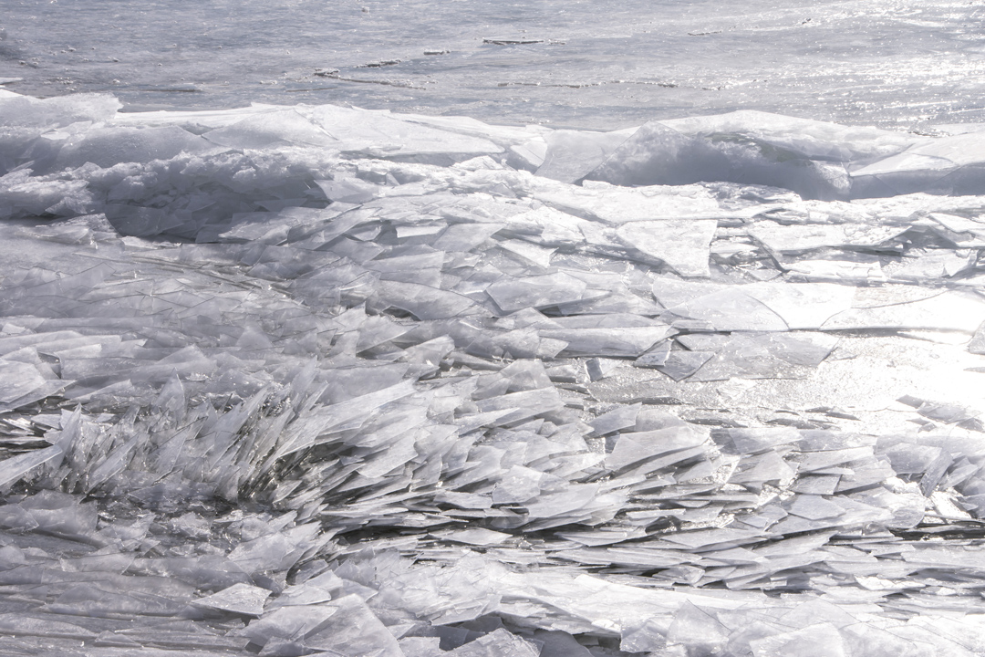 North Bayshore Park 13